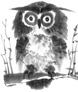 Illustration with owl ink. Black and white ink drawn image. Chinese style. Bird. Big eyes. Owl. Funny bird.
