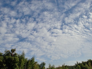 Fototapeta premium 雲