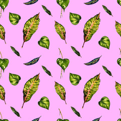 Waterecolor seamless pattern with Tropical leaves of Mexico