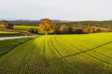 Fototapeta premium Herbstliche Hegaulandschaft bei Engen, Baden-Württemberg, Germany