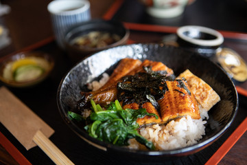 eel unagidon japanese rice bowl traditional food