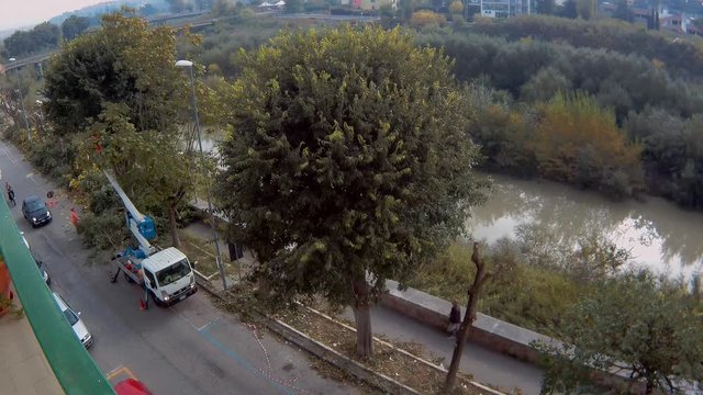 Benevento - Time lapse della potatura di alberi