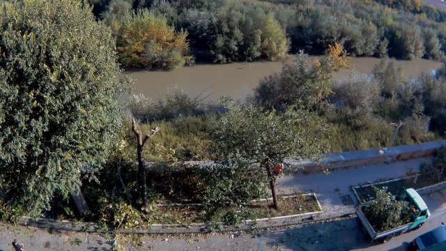 Benevento - Time lapse della raccolta di rami potatura