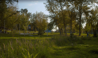 Obraz premium View of the park at summer