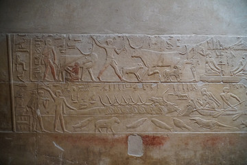 The Great Pyramids of Giza