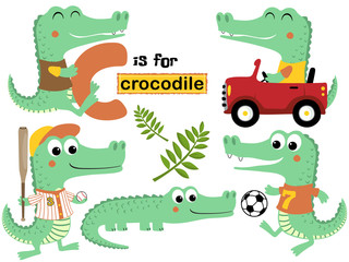 vector set of crocodile cartoon with various activity