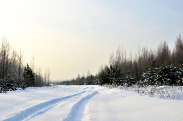 Obraz premium Snowy Road in Winter Forest. Awesome winter landscape. A snow-covered path among the trees in the wild forest. Forest in the snow.