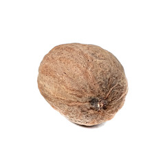 Closeup of single whole nutmeg, isolated on white background.