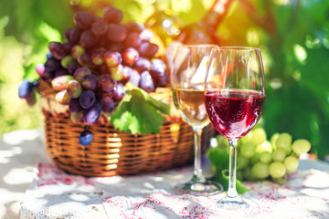Red and white wine in glasses in the summer against a background of ripe grapes.