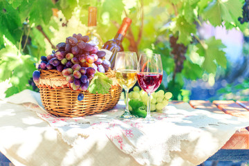 Naklejka na ściany i meble Red and white wine in glasses in the summer against a background of ripe grapes.
