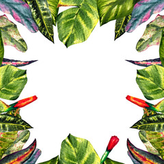 Fototapeta premium Frame of watercolor tropical leaves of Mexico