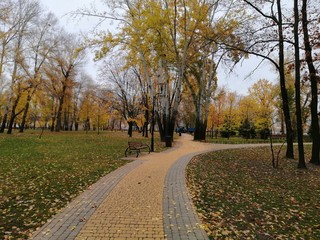  autumn path in the park