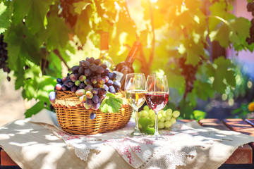 Red and white wine in glasses in the summer against a background of ripe grapes.