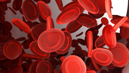 Blood cells close up.