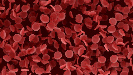 Blood cells close up.