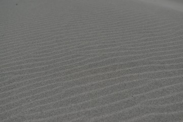 Obraz premium 中田島砂丘