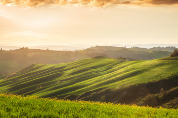 Amazing spring landscape with green rolling hills and farm houses in the heart of Tuscany in golden hour before sunset