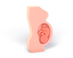 3d illustration of pregnancy, graphic representation of the interior of the uterus. Showing the human fetus with the umbilical cord.