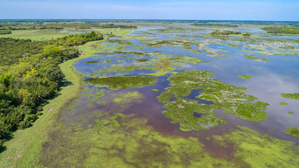 Fototapeta na wymiar Aerial view of a flood plain with a fence and cattle in the Pantanal Wetlands, Mato Grosso, Brazil