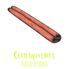 Cinnamon stick hand drawn vector illustration, isolated sketched drawing.