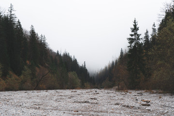 Foggy mountains