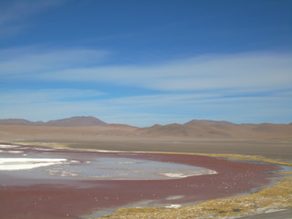 Laguna Colorada in Potosi Bolivia, reserve of 30,000 flamingos near the Salar de Uyuni