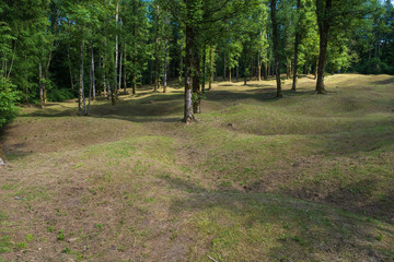 Landschaft des im 1. Weltkriegs zerstörten Dorfes Douaumont nahe Verdun/Frankreich