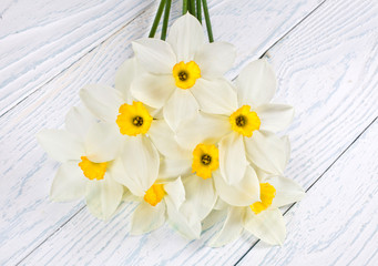 White daffodil flowers on a white wooden background. Top view. 
