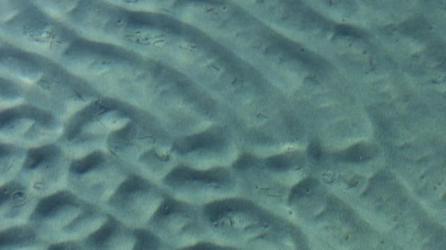 Clear water revealing the sandy bottom.