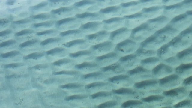 The clarity of the water surface shows its sandy bottom.