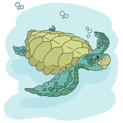 Sea turtle. Hand drawn vector illustration. turtle isolated on white background.