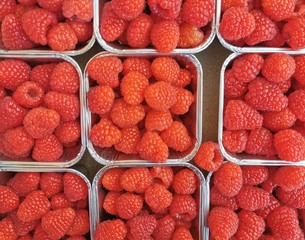 red berrys / raspberries