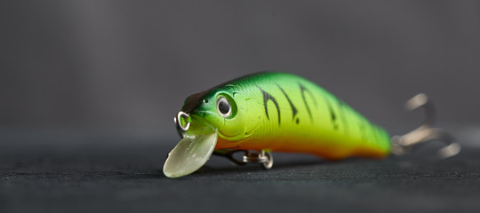 Fishing lure green used Wobbler closeup on gray background. Hooks and background in blur.