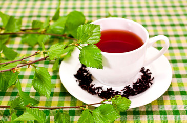 Black tea in a white cup with fresh natural birch branches on textile background.