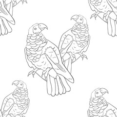 seamless pattern eagle black-red griffon parrot.  illustration