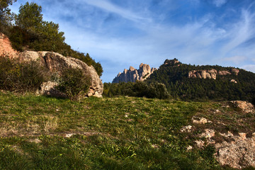 Field of grass with forest and mountains