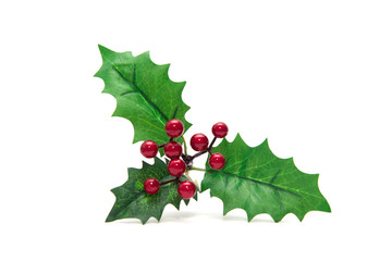 Fototapeta premium Holly berry leaves Christmas decoration isolated on white background