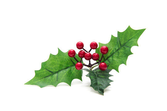 Holly berry leaves Christmas decoration isolated on white background