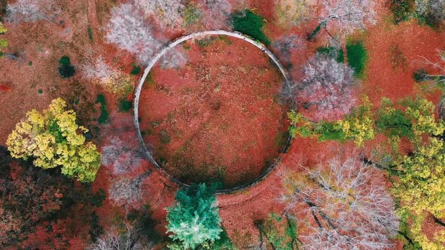 Sky view of autumn road car. Aerial view country road in autumn forest. Forest road drone view.