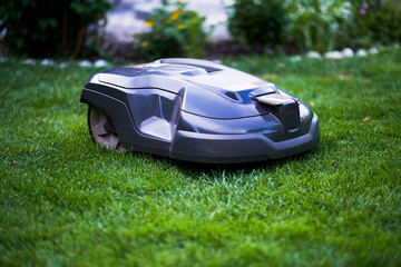 lawn robot mowss the lawn