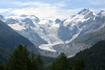 Fototapeta premium Piz Palu and Piz Bernina