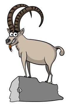 Cartoon style illustration of a friendly Alpine Ibex ram standing on a rock.