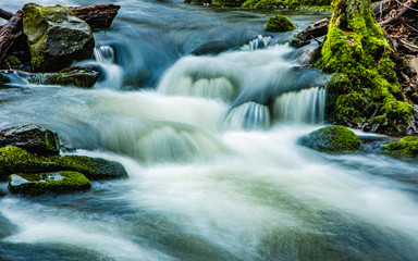 Fototapeta na wymiar ruhiger Fluss im Wald