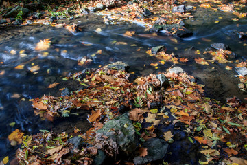 Cascade dans les bois