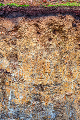 Aqualf or Stagnosol in Western Germany near Osnabrueck