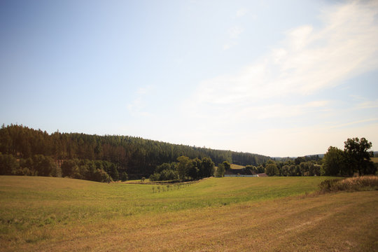 Late summer