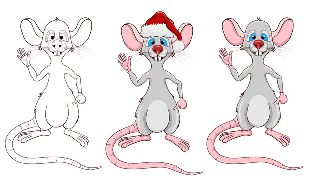 rat with a red nose_3