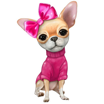 Little chihuahua dog with pink bow illustration