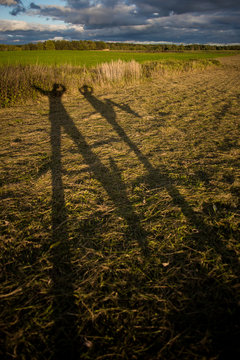 Game with shadows