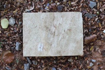 old torn paper texture background, copy space.